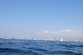 DSC_3366.JPG