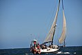 DSC_6708.JPG