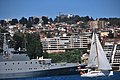DSC_6718.JPG