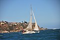 DSC_6739.JPG