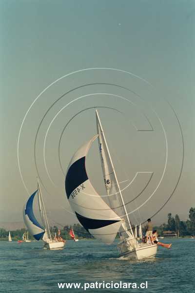 3174-33a.jpg
