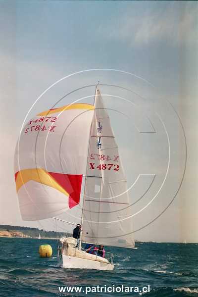 3019-11a.jpg
