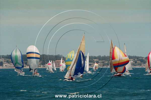 3764-8.jpg