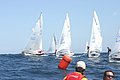 IMG_4106.jpg