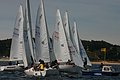 IMG_7335.JPG