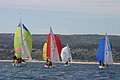 IMG_7403.JPG