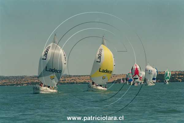 3144-29a.jpg