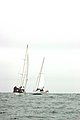 Img_1756.jpg