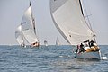 DSC_ 329.jpg