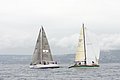 Img_1309.jpg