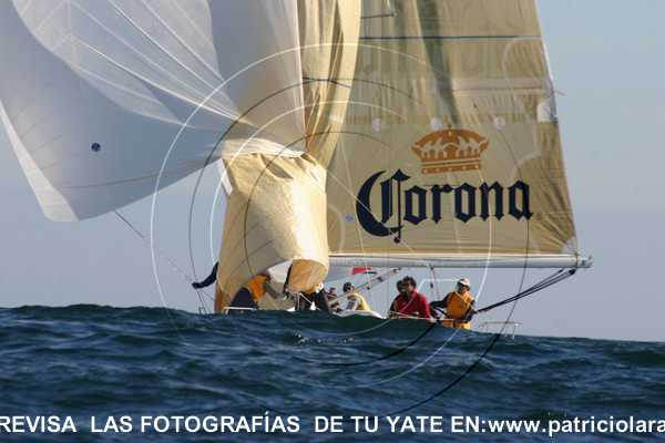 IMG 008.jpg