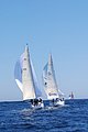 DSC_0413.JPG