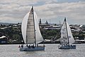 DSC_9642.JPG