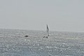 DSC_ 432.jpg