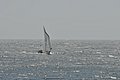 DSC_ 435.jpg