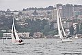 DSC_5317.JPG