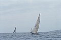 4511-31.jpg