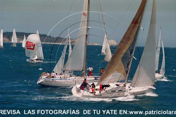 3764-16.jpg