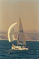 3408-07.jpg
