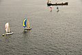 _DSC6281.JPG