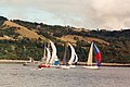 4417-13a.jpg