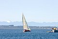IMG_6549.jpg