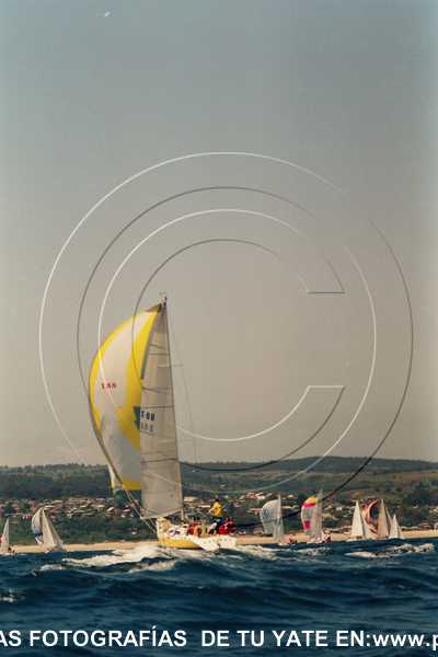 3031-13.jpg