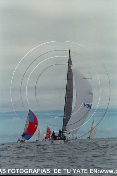 4523-005.jpg