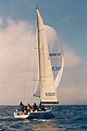 4664-8a.jpg