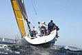 IMG_8383.JPG