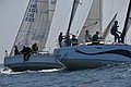 DSC_ 456.jpg