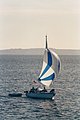3359-10.JPG