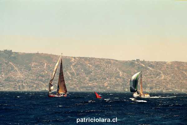 3779-8.jpg