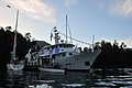DSC_0418.JPG